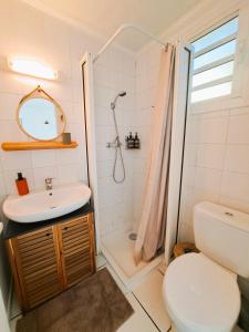 聖若瑟的住宿－Bungalow Jazz - Bassin Manapany-Les-Bains，浴室配有卫生间、盥洗盆和淋浴。