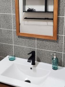 um lavatório de casa de banho com espelho e uma garrafa de sabão em F2 au cœur de Langeais. em Langeais