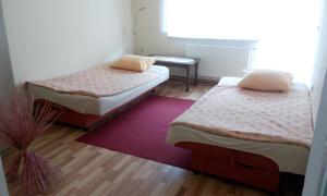 two beds in a small room with a window at Apartments Hills in Ćukovi +45 photos