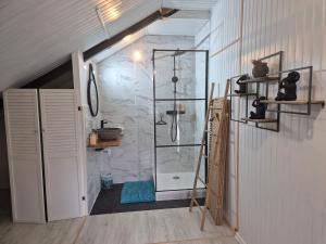 a bathroom with a shower with a glass door at Les Jardins de Nicole in La Plaine des Cafres