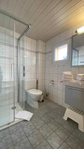 La salle de bains est pourvue de toilettes et d'une douche en verre. dans l'établissement am Bärgbach 1.OG, à Bettmeralp