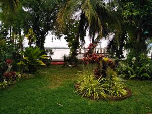 een tuin met palmbomen en planten in het gras bij โฮมสเตย์เรือนเจ้าจอม in Ban Bo Hin