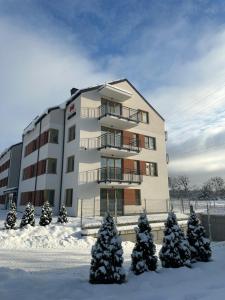 a building with christmas trees in the snow at Celine Apartments in Lębork