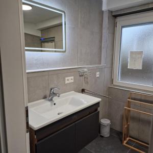 a bathroom with a sink and a mirror at Apartment da Luiz Salvatore in Wurmlingen