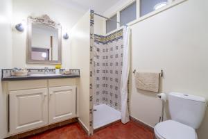 a bathroom with a shower and a toilet and a sink at La maison des Remparts in Saint-Jean-de-Barrou
