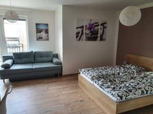 صورة لـ DomirexGroup Apartments في لوتشينيتس