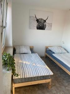 two beds in a room with a bull picture on the wall at Simsongarage Mönchswalde in Obergurig