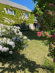 une maison avec des fleurs roses et blanches dans la cour dans l'établissement Simsongarage Mönchswalde, à Obergurig