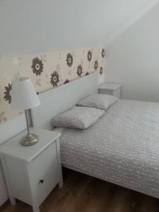 1 dormitorio con cama y mesita de noche con lámpara en Pension Klarissa, en Sovata