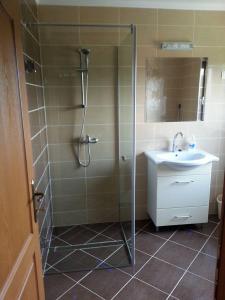 a bathroom with a shower and a sink at Pension Klarissa in Sovata