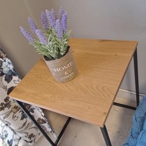 roślina w garnku siedząca na stole w obiekcie KENTRO PATRA 3 w mieście Patras