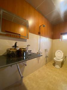 a bathroom with a sink and a toilet at Biafo House in Skardu