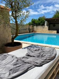 eine Matratze neben einem Pool mit einem Baum in der Unterkunft Maison d'Amis in Salles-Lavalette