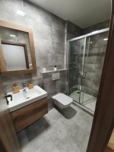uma casa de banho com um WC, um lavatório e um chuveiro em DomirexGroup Apartments em Lučenec
