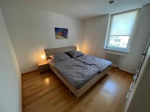 Schlafzimmer mit einem Bett und einem Fenster in der Unterkunft Tobi‘s Ferienapartment in Gottmadingen