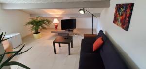 a living room with a couch and a tv at L'AMBROISINE in Saint-Ambroix