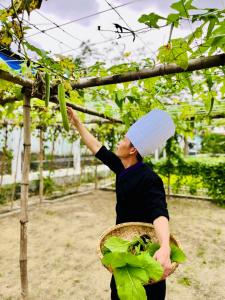 a man wearing a hat picking leaves from a plant at TTC Van Phong Bay Resort - Himalaya Sauna & Steam Retreat Included in Ninh Hòa