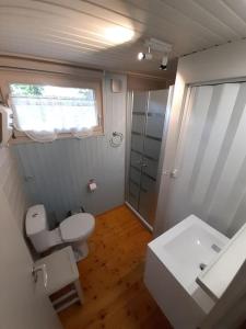 ein Bad mit einem WC, einem Waschbecken und einer Dusche in der Unterkunft Chalet nature au cœur des Ardennes in Somme-Leuze