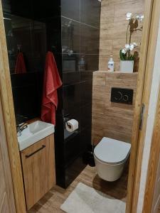a bathroom with a toilet and a sink and a shower at Domek u Sołtyska in Rajcza