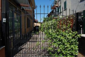 una valla de hierro forjado con plantas en una calle en B&B GoodDay Roma Tor Vergata, en Tor Vergata