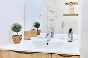 a bathroom with a sink with two potted plants on it at Le cocon de Saint-Clair in Caluire-et-Cuire