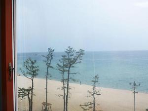 a view of a beach with trees and the ocean at Goodstay Soo Hotel in Gangneung