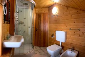 a bathroom with a sink and a shower and a toilet at Chalet del Lago in Ceresole Reale