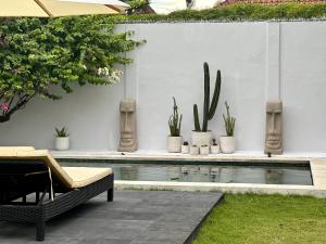 einen Pool mit Kakteen und Pflanzen im Hinterhof in der Unterkunft Villa Curves Bali in Seminyak