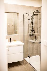 a bathroom with a shower and a sink at Fritscher Apartments, s.r.o. in Prague