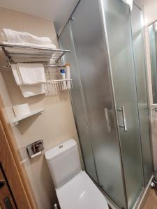 a small bathroom with a toilet and a shower at Hostal San Felix in Gijón