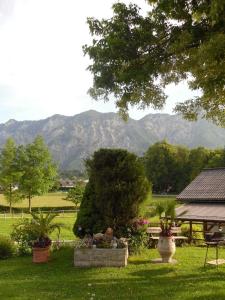 a view of a field with mountains in the background at Ferienwohnungen Haus Elisabeth in Bad Goisern