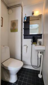 uma casa de banho com um WC e um lavatório em Guesthouse with Sauna em Lahti