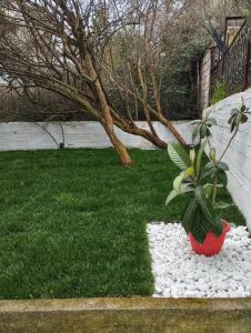 a plant in a red pot on a pile of rocks at Michael House in Kavala