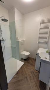 a bathroom with a shower and a toilet and a sink at APARTAMENT JARACZA 28/8 in Słupsk