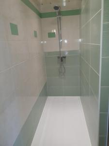 a bathroom with a shower with a glass door at Du haut des rives - Bel appt pour 4 in Caudebec-en-Caux