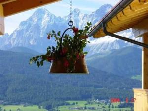 eine Topfpflanze, die von einer Decke mit einem Berg hängt in der Unterkunft Haus Rigl in Vorberg