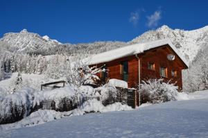 una casa cubierta de nieve frente a una montaña en Ferienwohnung Freiraum, en Dalaas