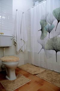 a bathroom with a shower curtain and a toilet at AJ HOMES in Benin City
