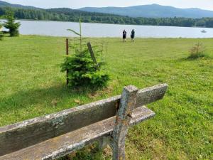 a bench sitting in a field next to a lake at Apartmány Pernek in Horní Planá