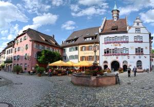 a group of buildings in a street with a fountain at Apartment am Kurpark in Bad Krozingen