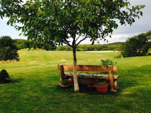 a wooden bench under a tree in a field at Villa Stubnitz in Nipmerow