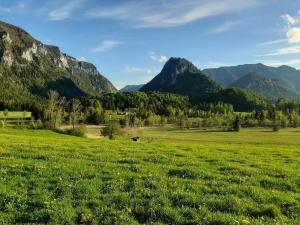 ein Feld mit grünem Gras und Bergen im Hintergrund in der Unterkunft Ferienwohnungen im Griachalgarten - Chiemgau Karte in Inzell