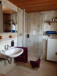 a bathroom with a sink and a shower at Ferienwohnungen im Griachalgarten - Chiemgau Karte in Inzell