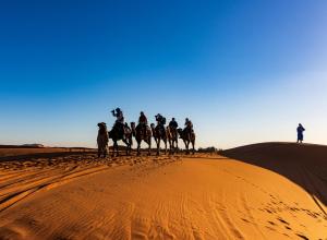 Hosté ubytování Sahara Luxury Camp