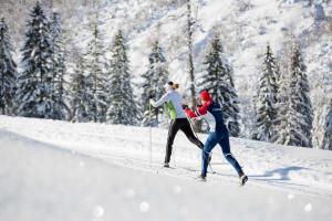 due persone che praticano sci di fondo nella neve di Chalets Grossmitt a Pertisau