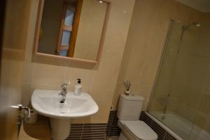 a bathroom with a sink and a toilet and a shower at Touristhome Frei Luis in Sarria
