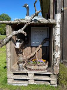 uma casa de pássaros com um cesto de flores em Huus-Ritter in Balje em Balje