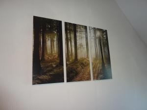 tres fotos de un bosque en una pared en Schöne Fewo max 4 Pers in der Nähe von Sassnitz, 