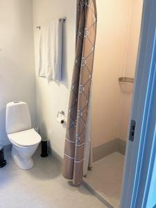 a bathroom with a toilet and a shower curtain at Bernstorff Castle Hotel in Gentofte