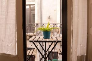 roślina doniczkowa siedząca na stole na balkonie w obiekcie Civico 18 w Katanii